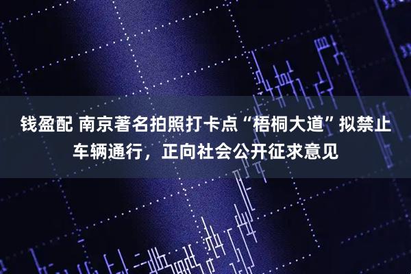 钱盈配 南京著名拍照打卡点“梧桐大道”拟禁止车辆通行，正向社会公开征求意见