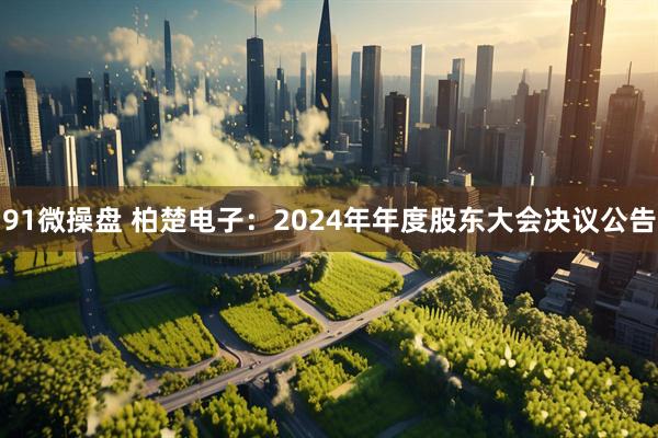 91微操盘 柏楚电子：2024年年度股东大会决议公告