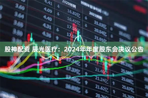 股神配资 辰光医疗：2024年年度股东会决议公告