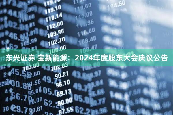 东兴证券 宝新能源：2024年度股东大会决议公告