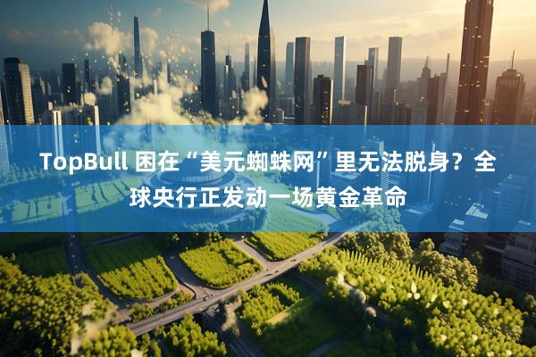 TopBull 困在“美元蜘蛛网”里无法脱身？全球央行正发动一场黄金革命