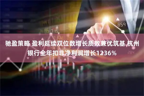 驰盈策略 盈利延续双位数增长质效兼优筑基 杭州银行全年扣非净利润增长1236%