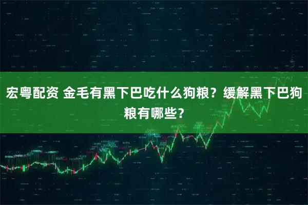 宏粤配资 金毛有黑下巴吃什么狗粮？缓解黑下巴狗粮有哪些？