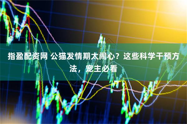 指盈配资网 公猫发情期太闹心？这些科学干预方法，宠主必看