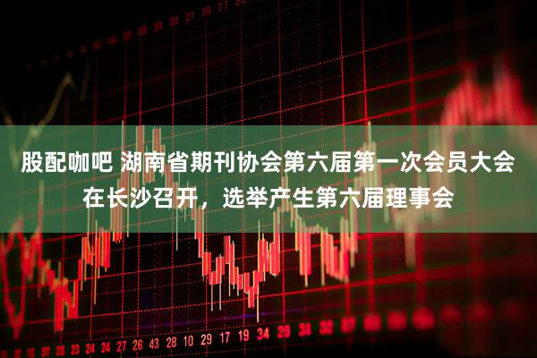 股配咖吧 湖南省期刊协会第六届第一次会员大会在长沙召开,选举产生第六届理事会